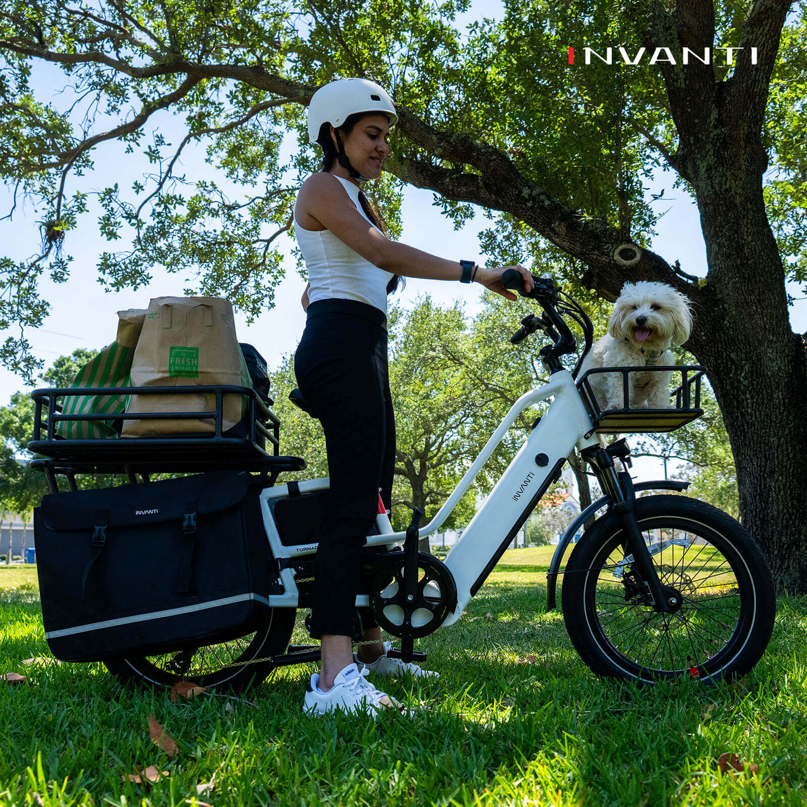 Tornado Cargo Electric Bike