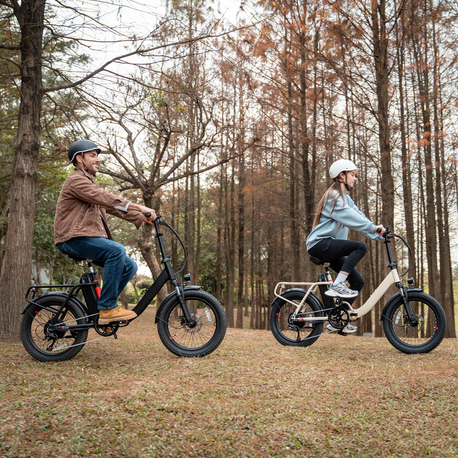 Tide 2 Folding Electric Bike