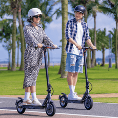 5TH WHEEL V30PRO Electric Scooter